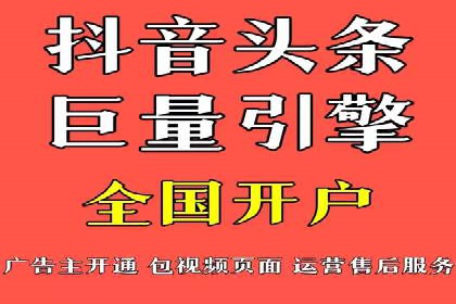解析某某SEM服务公司的广告投放策略与效果评估